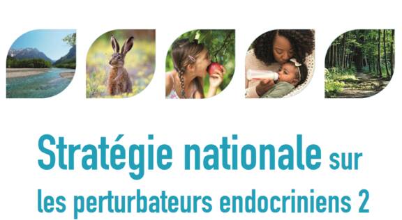 Une 3e Stratégie Nationale Perturbateurs Endocriniens (SNPE) est souhaitable, et même nécessaire d’après l’inspection des services publiques.